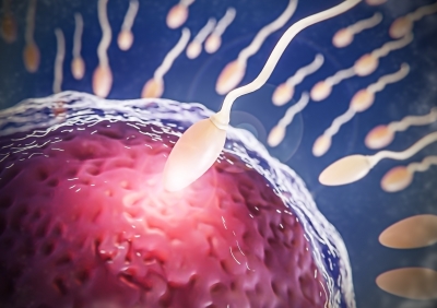Does drinking alcohol affect male fertility?