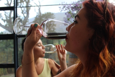 Drinking a little alcohol every day is not good for your health, says study